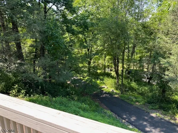 a view of a garden from a window