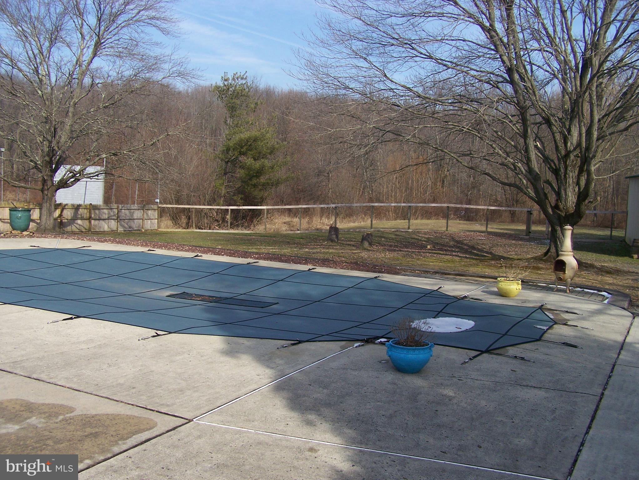 215 Windsor Road Robbinsville, NJ 08691 - Photo 26 of 34 a view of yard with large tree