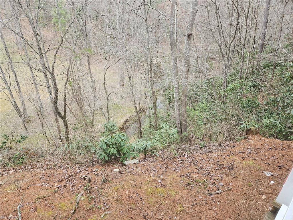 824 Kapps Mill Road Dobson, NC 27017 - Photo 5 of 25 Gallery Image 5