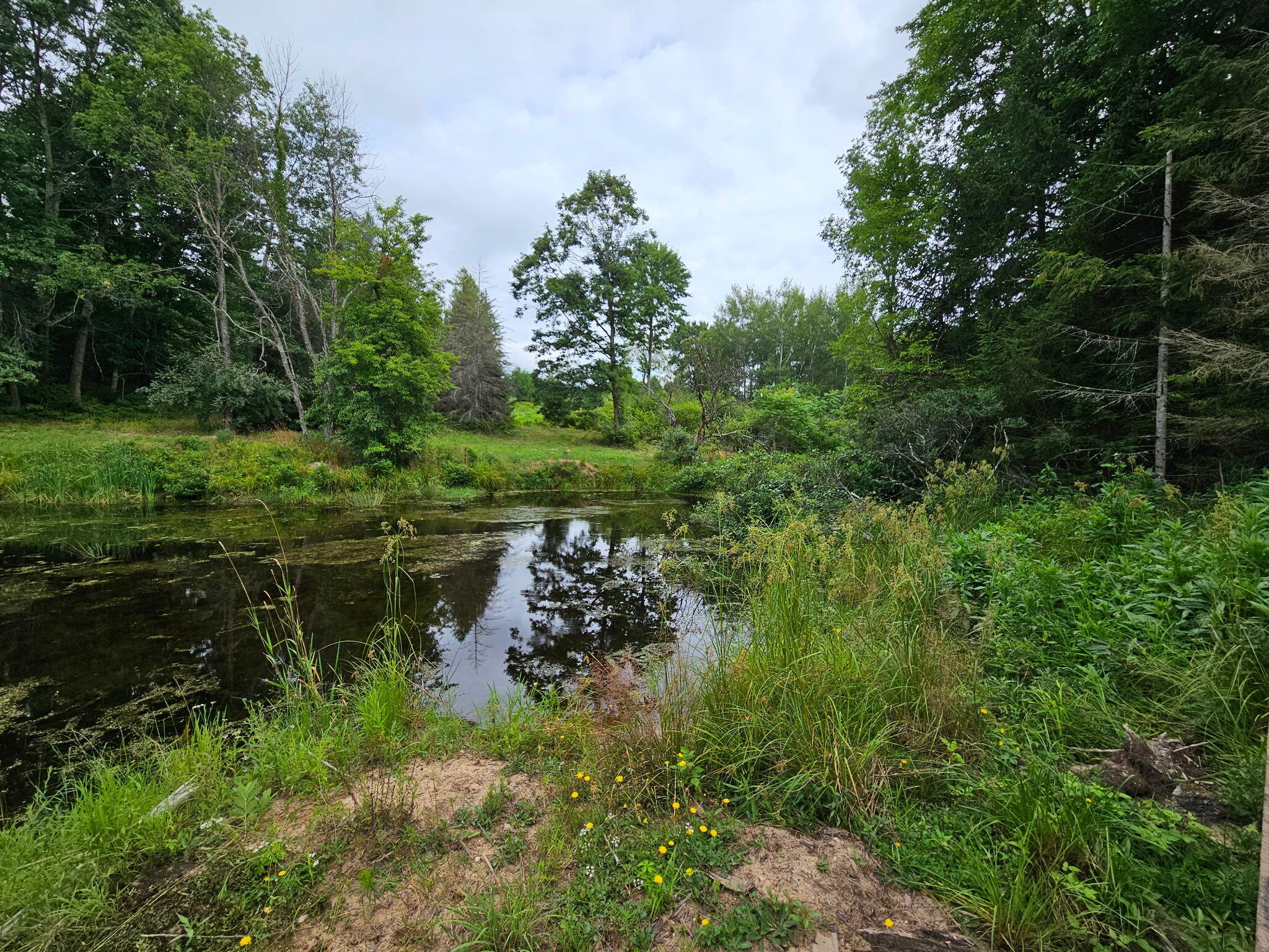V/l East Chauvez Road Custer, MI 49405 - Photo 4 of 41 1000002820