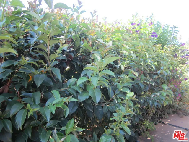 $2,795 | 6833 Lubao Avenue, Winnetka, CA 91306