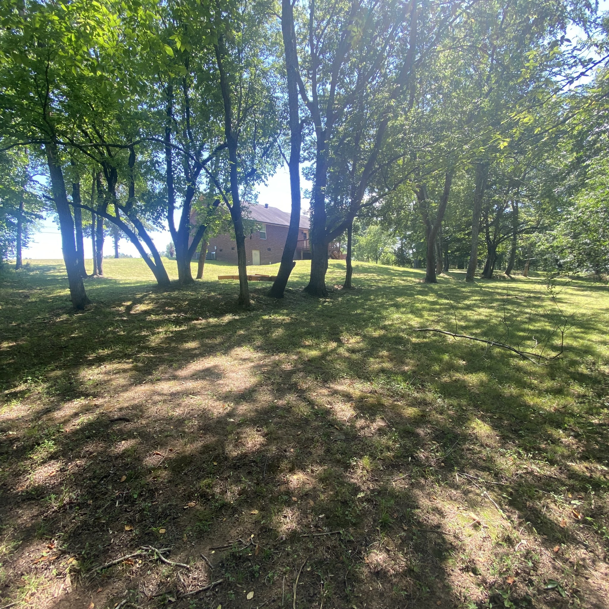 1055 Salem Ridge Road Clarksville, TN 37040 - Photo 5 of 18 a view of a trees with a yard