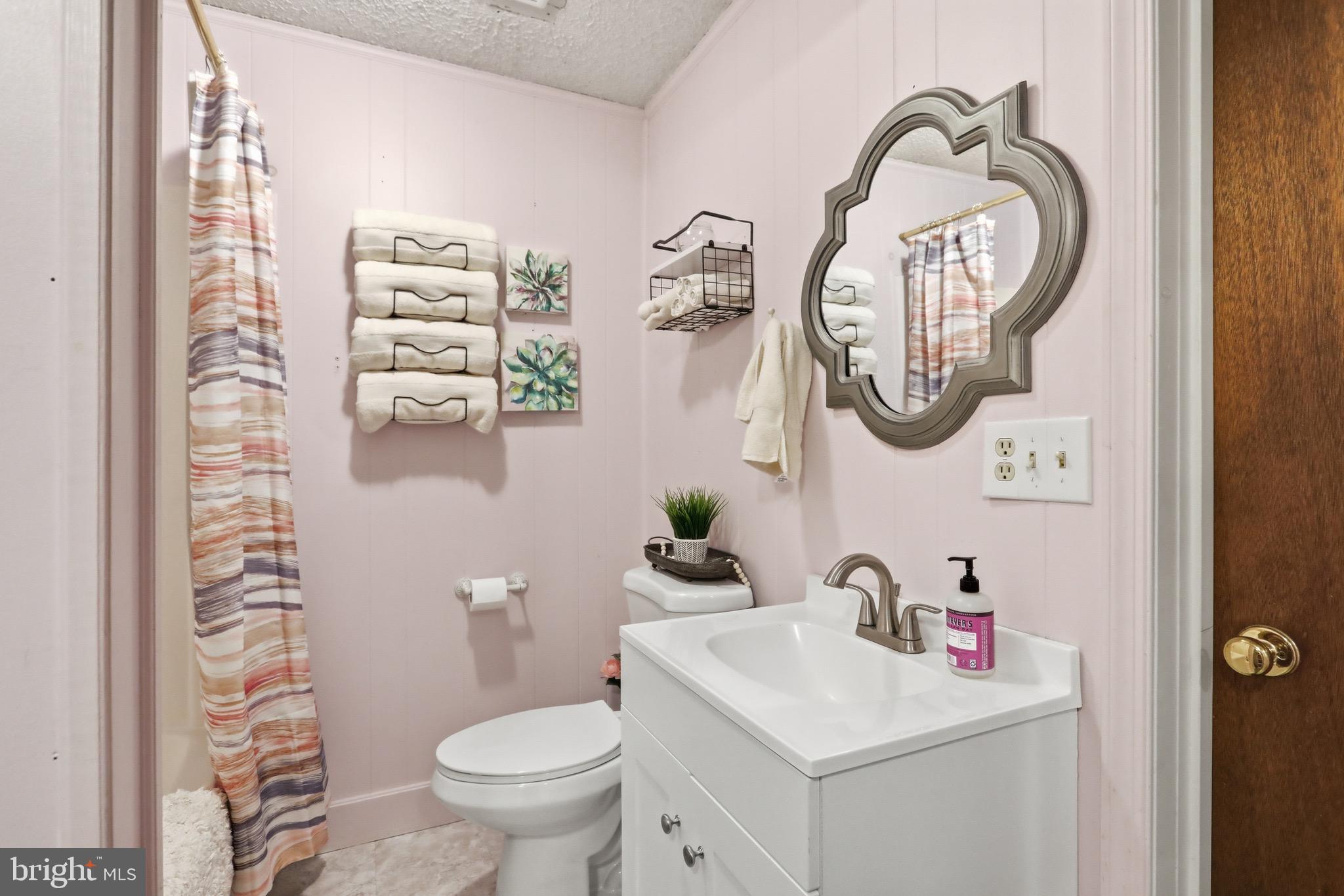78 Lizzie Mills Road Castleton, VA 22716 - Photo 31 of 53 Lower level bathroom