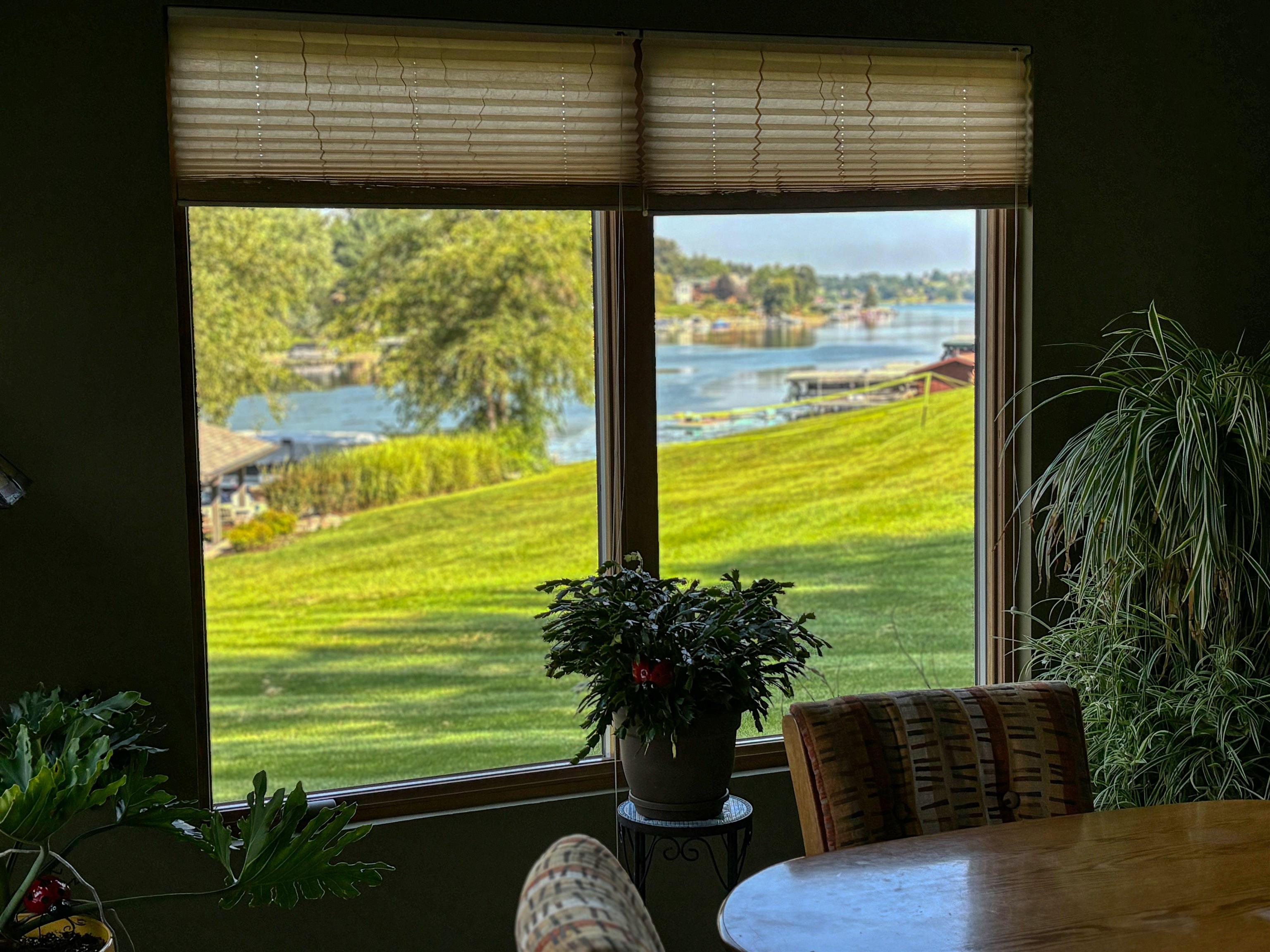 22781 Zier Road Lake Carroll, IL 61046 - Photo 10 of 58 a view of a room with furniture and a potted plant