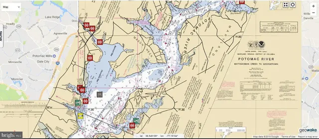 a view of a small yard