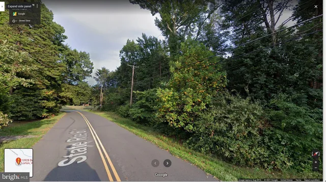 a view of a street with a yard and a fountain