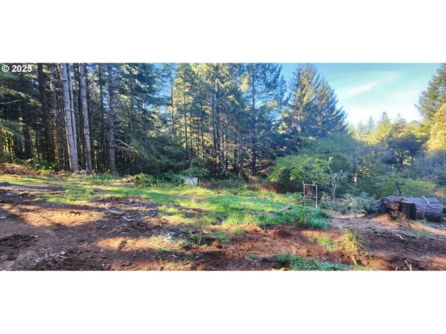 a view of swimming pool with a yard