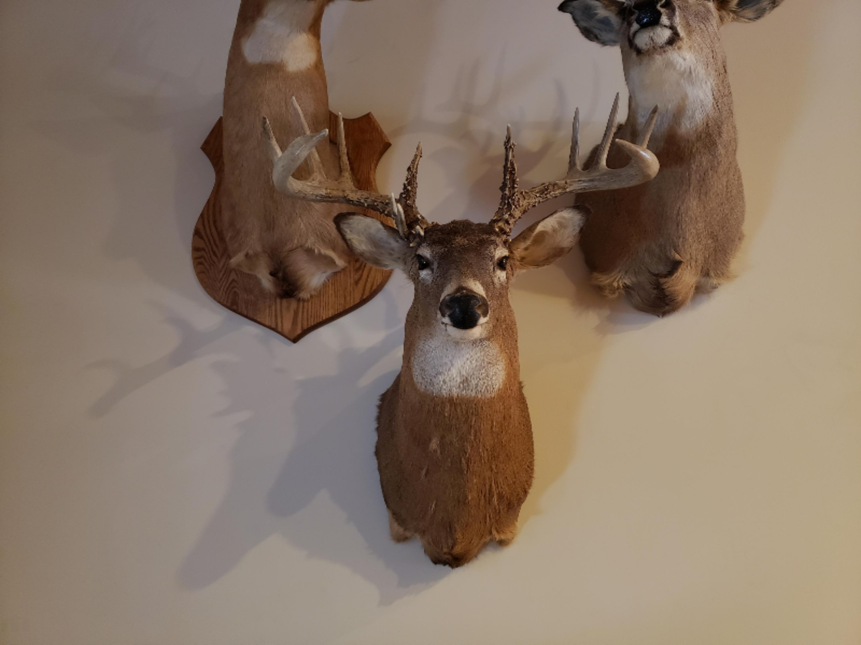 6341 East Walker Road Merritt, MI 49667 - Photo 1 of 71 20181222_140716 - Copy
