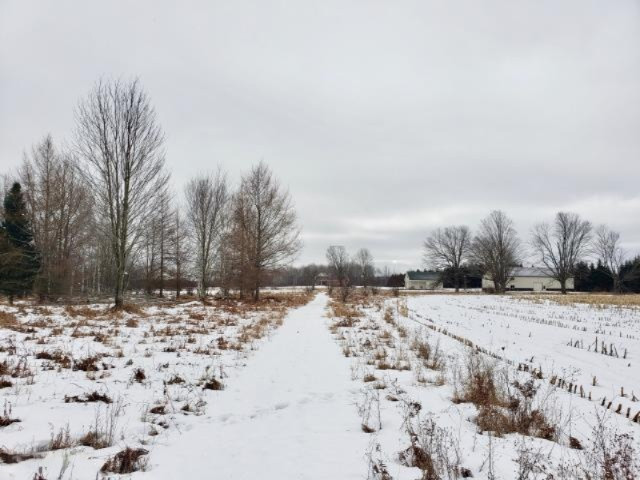 6341 East Walker Road Merritt, MI 49667 - Photo 12 of 71 20190206214437896844000000-o - Copy