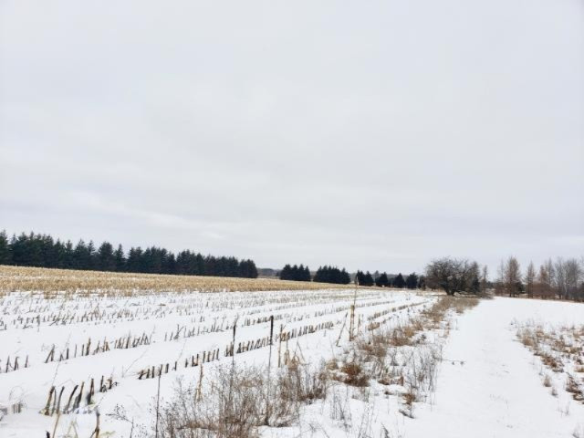 6341 East Walker Road Merritt, MI 49667 - Photo 13 of 71 20190206214725764727000000-o - Copy