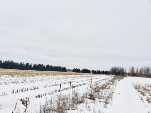 6341 East Walker Road Merritt, MI 49667 - Photo 14 of 71 20190206214725764727000000-o