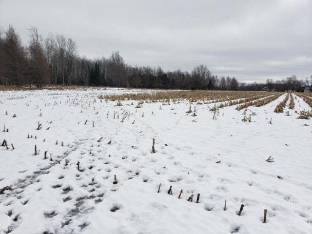 6341 East Walker Road Merritt, MI 49667 - Photo 18 of 71 20190206215655473655000000-o