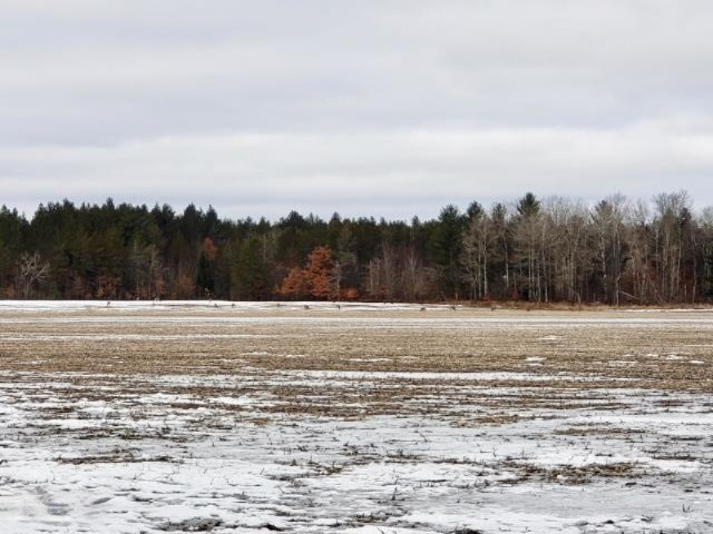 6341 East Walker Road Merritt, MI 49667 - Photo 20 of 71 20190206215844353272000000-o