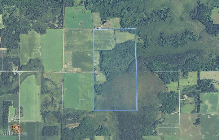 6341 East Walker Road Merritt, MI 49667 - Photo 2 of 71 20190206194850621828000000-o