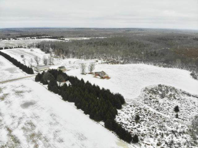 6341 East Walker Road Merritt, MI 49667 - Photo 28 of 71 20190206220234674850000000-o
