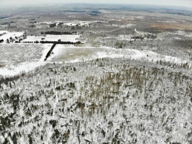 6341 East Walker Road Merritt, MI 49667 - Photo 32 of 71 20190206221005848593000000-o