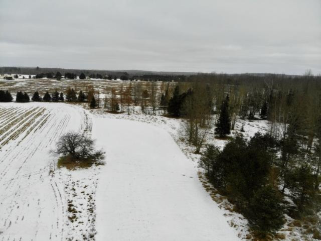 6341 East Walker Road Merritt, MI 49667 - Photo 33 of 71 20190206221119234166000000-o