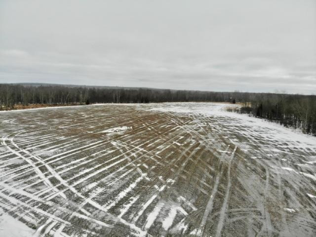 6341 East Walker Road Merritt, MI 49667 - Photo 34 of 71 20190206221159951019000000-o