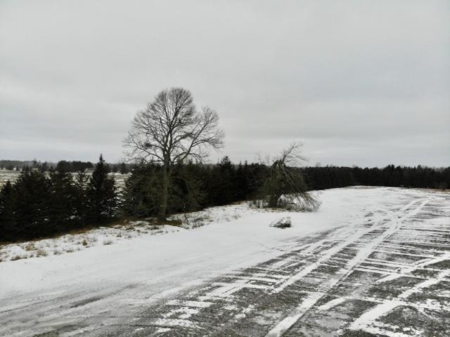 6341 East Walker Road Merritt, MI 49667 - Photo 35 of 71 20190206221228716294000000-o