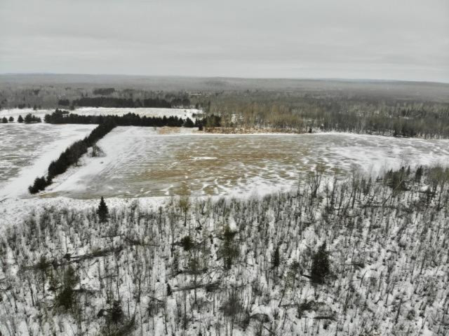 6341 East Walker Road Merritt, MI 49667 - Photo 36 of 71 20190206221632775167000000-o