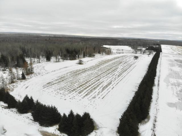 6341 East Walker Road Merritt, MI 49667 - Photo 37 of 71 20190206221713197054000000-o