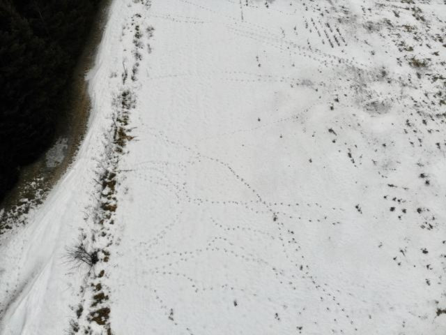 6341 East Walker Road Merritt, MI 49667 - Photo 38 of 71 20190206221743782334000000-o