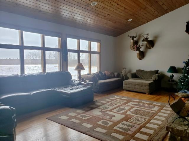 6341 East Walker Road Merritt, MI 49667 - Photo 4 of 71 20190206213119449031000000-o