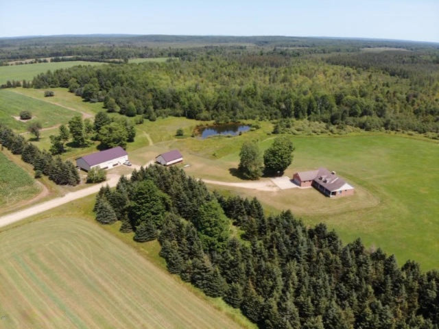 6341 East Walker Road Merritt, MI 49667 - Photo 51 of 71 20190806125705659111000000-o