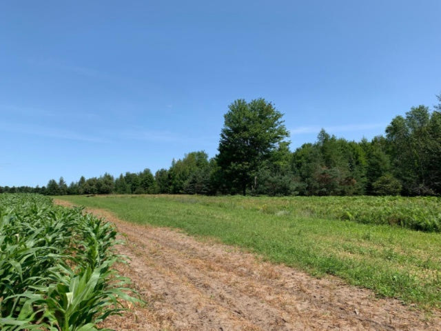 6341 East Walker Road Merritt, MI 49667 - Photo 62 of 71 20190806125949416592000000-o