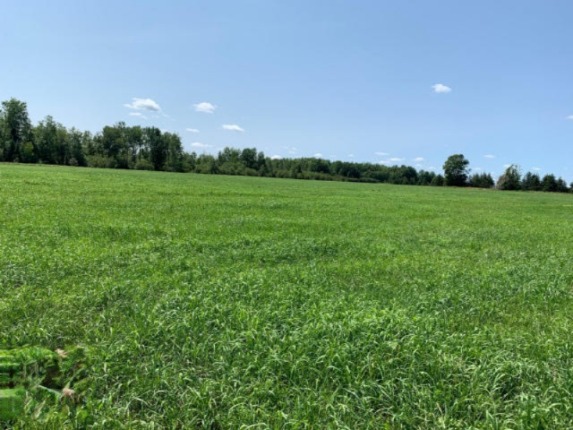 6341 East Walker Road Merritt, MI 49667 - Photo 64 of 71 20190806130024762358000000-o