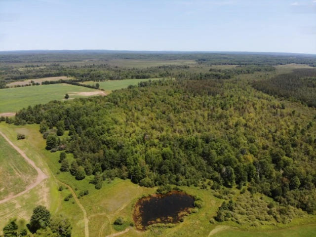 6341 East Walker Road Merritt, MI 49667 - Photo 65 of 71 20190806130034435951000000-o