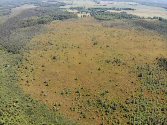 6341 East Walker Road Merritt, MI 49667 - Photo 66 of 71 20190806130042969503000000-o