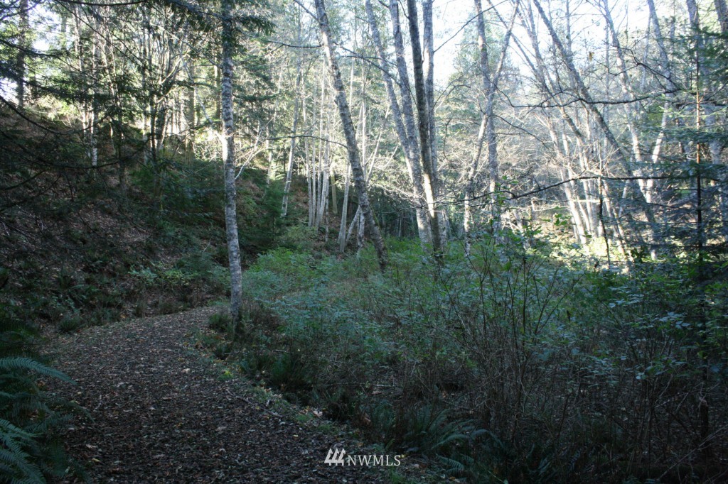 6607 Olga Road Orcas Island, WA 98279 - Photo 23 of 25 Gallery Image 23