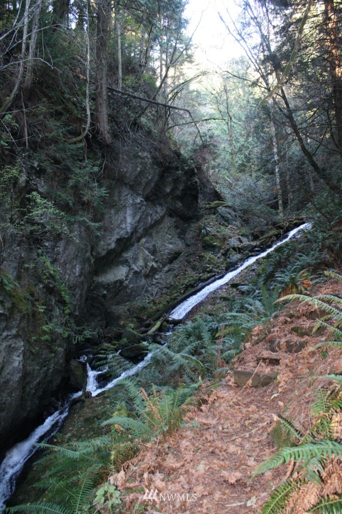 6607 Olga Road Orcas Island, WA 98279 - Photo 24 of 25 Gallery Image 24