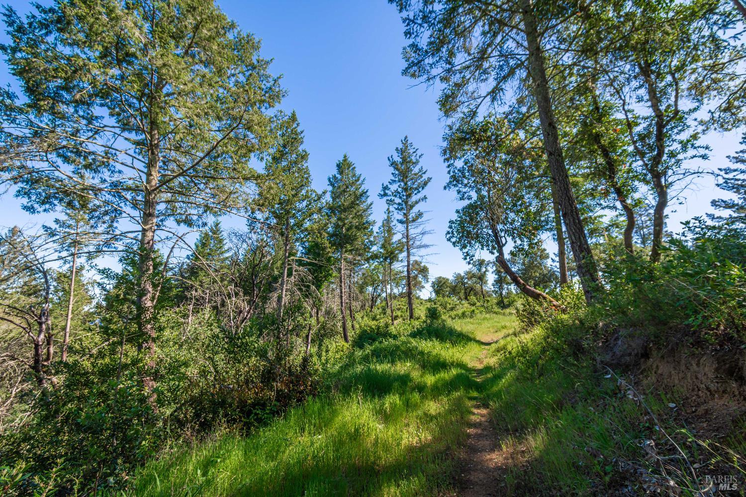 0 Dry Creek Road Napa, CA 94558 - Photo 75 of 98