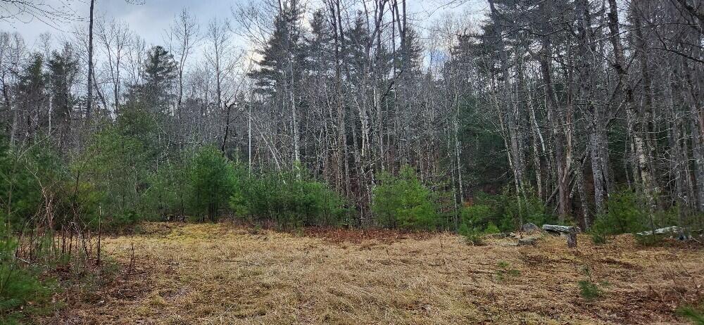 523 Bald Mountain Road Dedham, ME 04429 - Photo 1 of 5 thumbnail_20241212_140433_resized_1