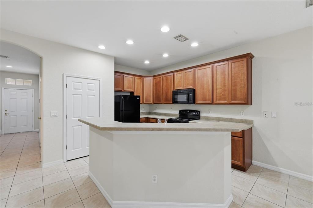 3914 Silverlake Way Wesley Chapel, FL 33544 - Photo 6 of 32