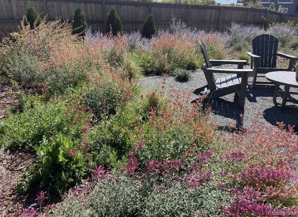 a view of a backyard