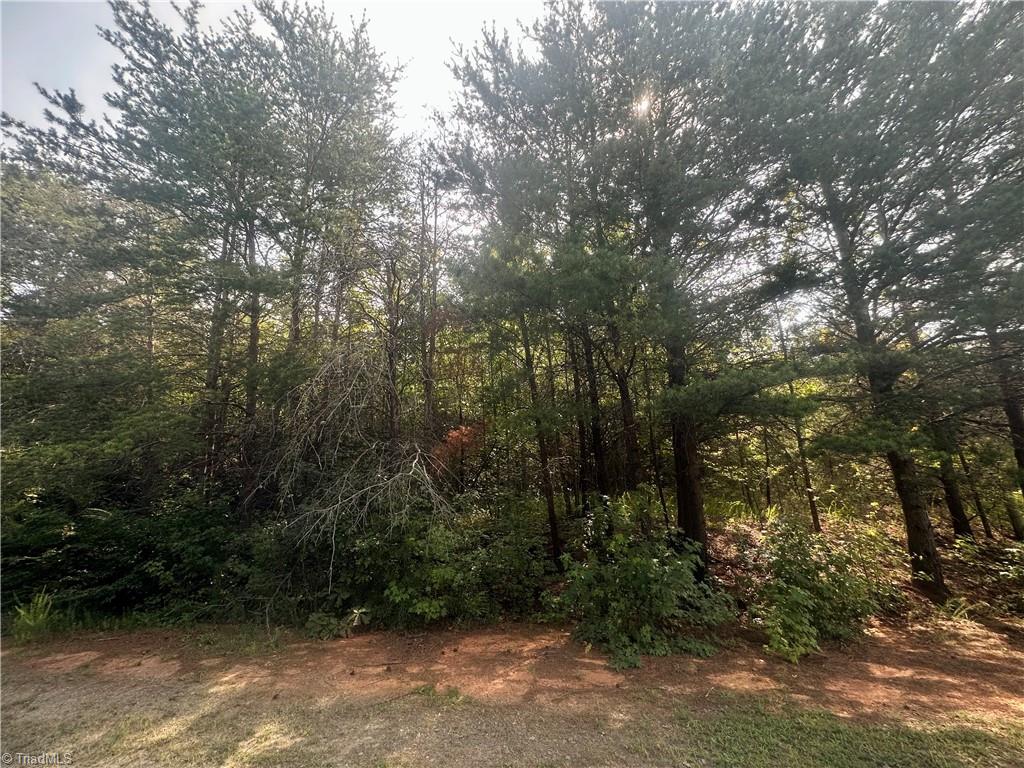 Lot 6 Whitestone Court Ruffin, NC 27326 - Photo 3 of 3 Gallery Image 3
