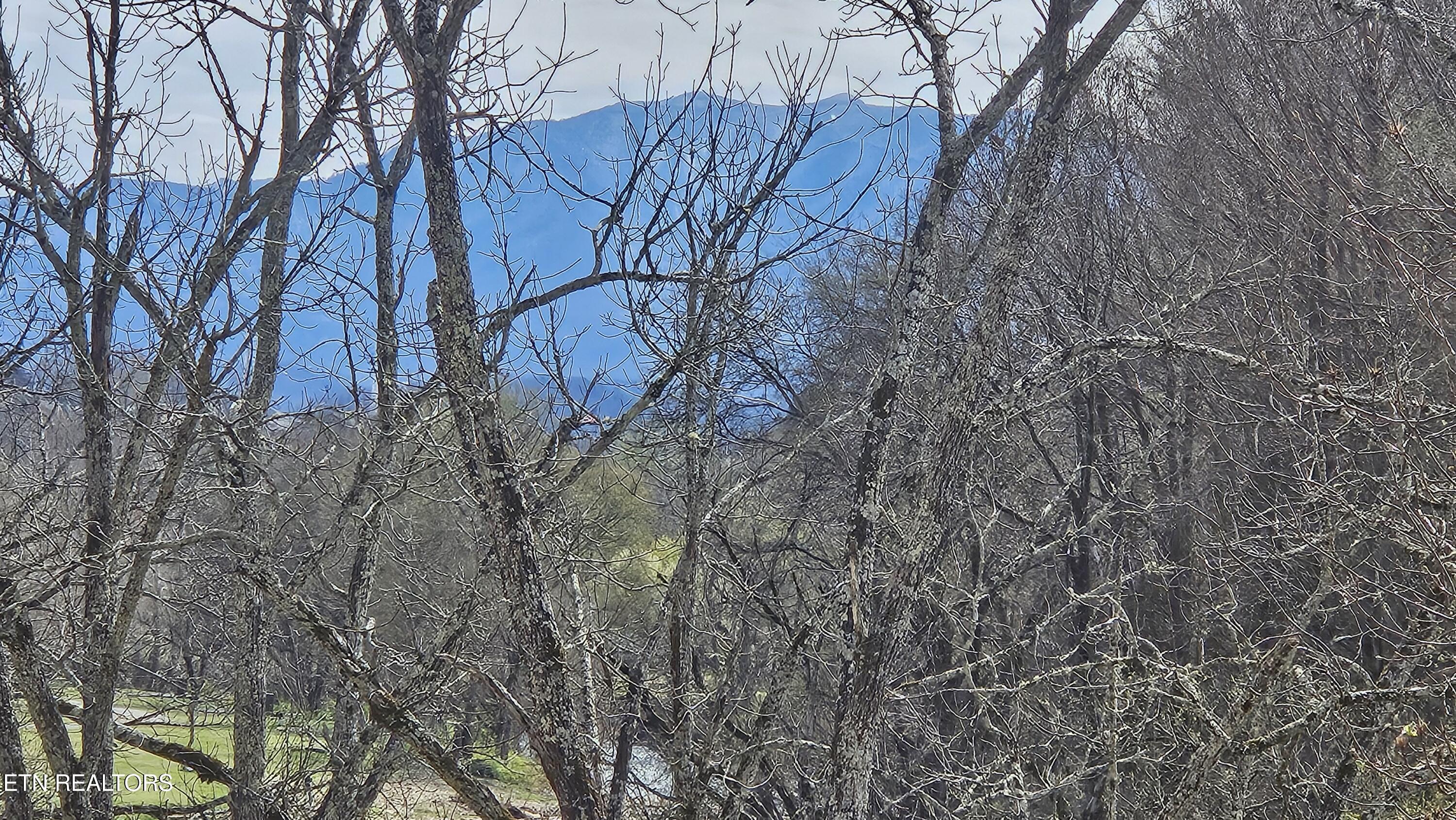 615 River Pl Way, Unit B304 Sevierville, TN 37862 - Photo 27 of 33 Mt. LeConte view from balcony