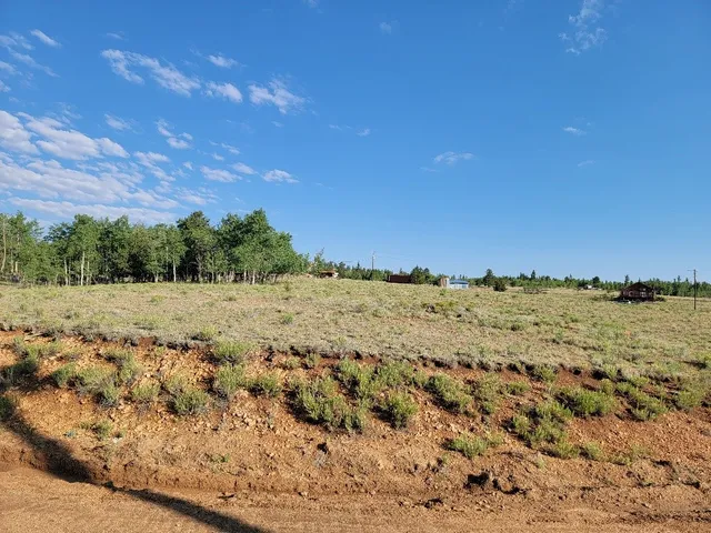 a picture of flowers