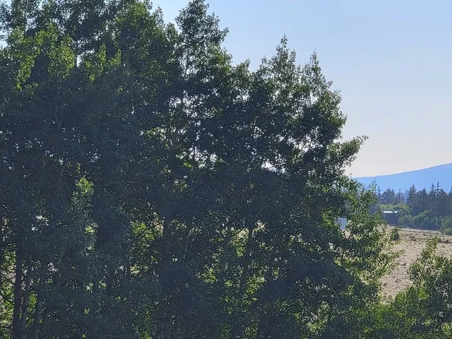 an aerial view of a house with an outdoor space and street view