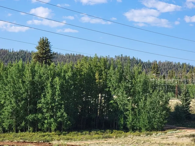 a view of a lush green field