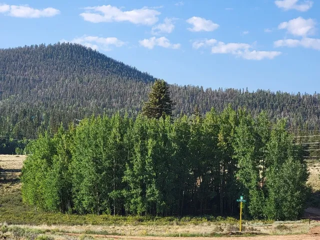 a view of an outdoor space and a yard