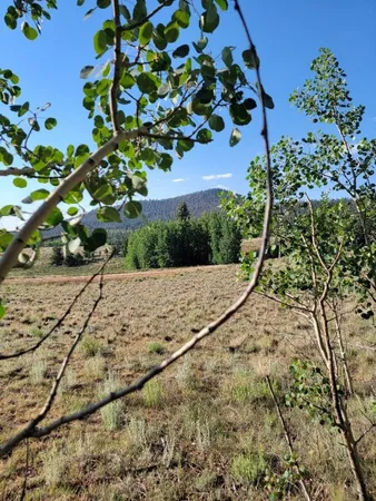 $50,000 | 1630 Wampum Lane, Como, CO 80456