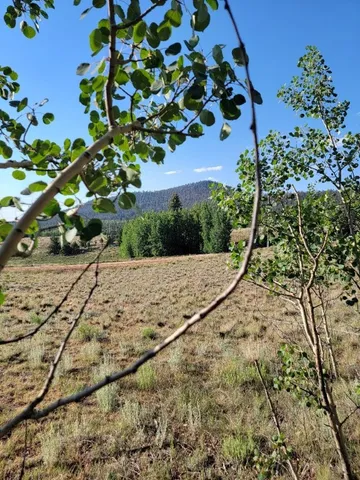 $50,000 | 1630 Wampum Lane, Como, CO 80456
