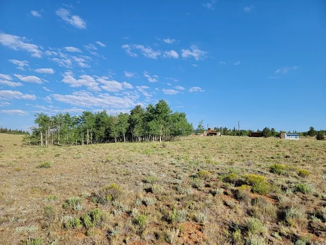 view of a house with a tree