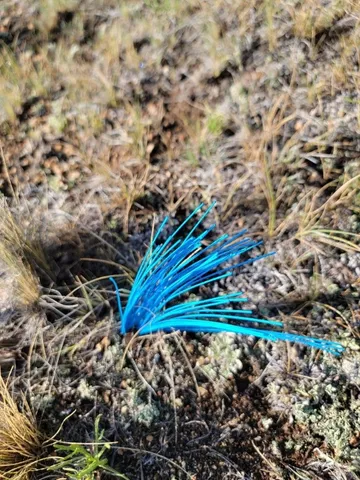 $50,000 | 1630 Wampum Lane, Como, CO 80456