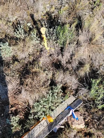 $50,000 | 1630 Wampum Lane, Como, CO 80456