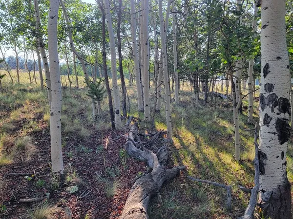 a view of a lake with mountain in the background